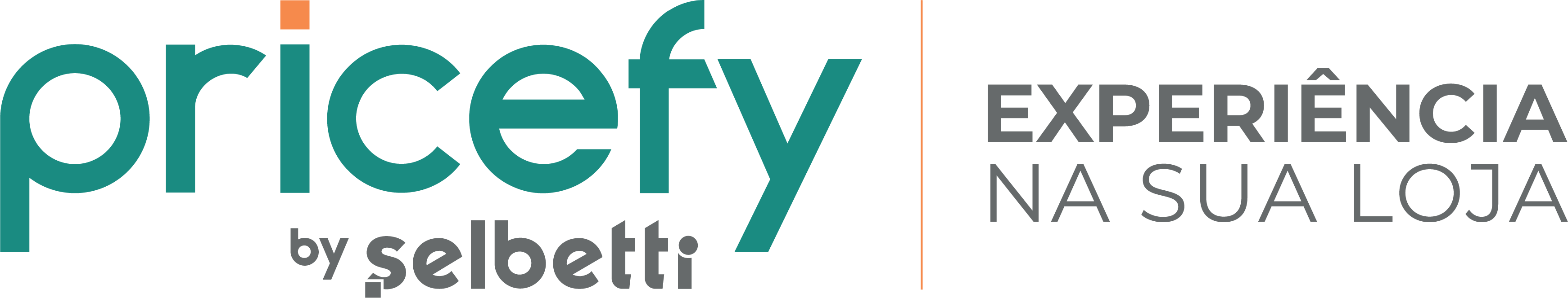Logo Pricefy